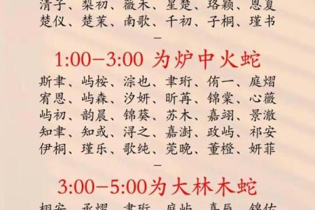 2019年3月29号午时出生的男孩要怎么起名字姓名