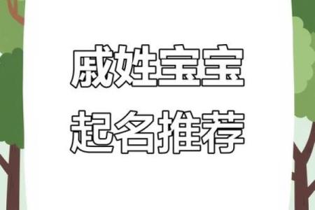 戚姓女孩名字大全-戚姓女孩起名字大全-戚姓名字大全姓名