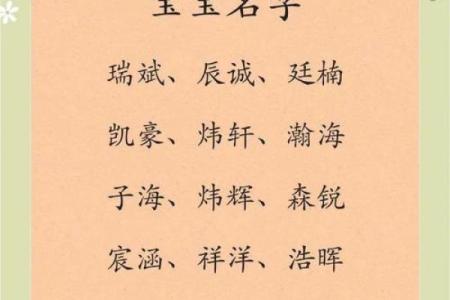 2019年5月13号寅时出生的男孩要怎么起名字姓名