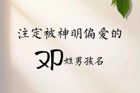 2019年出生的姓邓男孩如何起名，宜用什么字姓名
