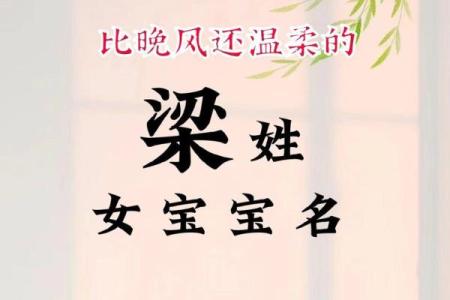 姓梁的名人-姓名学-华易算命网姓名