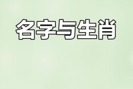 什么字适合给晚上9点出生的属猴男孩起名字姓名