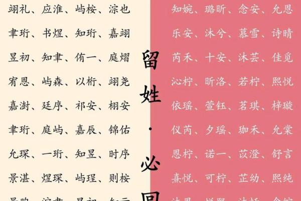 2019年3月20号酉时出生的男孩起名方法姓名