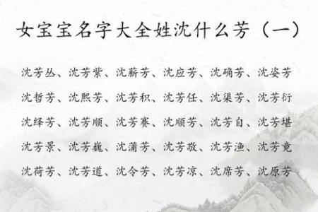 沈姓男孩名字大全-沈姓男孩起名字大全-沈姓名字大全姓名