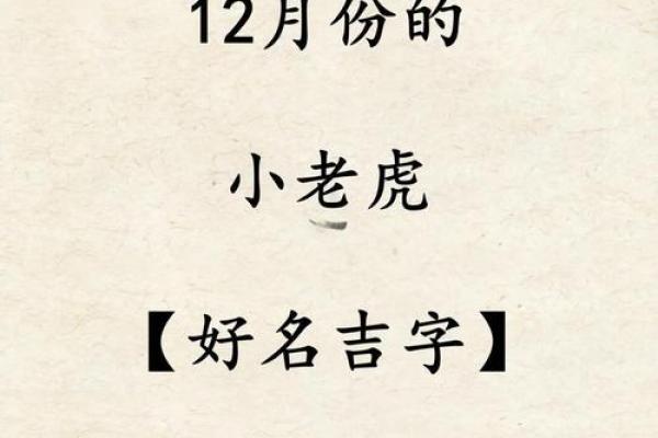 12月份出生的属虎男孩如何取名字姓名