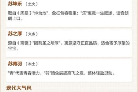 苏姓男孩名字大全-苏姓男孩起名字大全-苏姓名字大全姓名