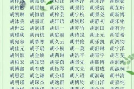 名字与个性-姓名学-姓名分析姓名