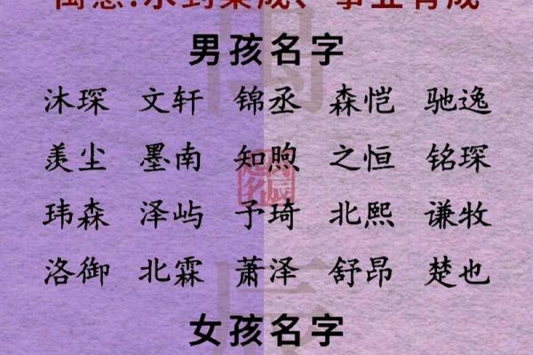 2019年6月17号寅时出生的男孩要怎么起名字姓名