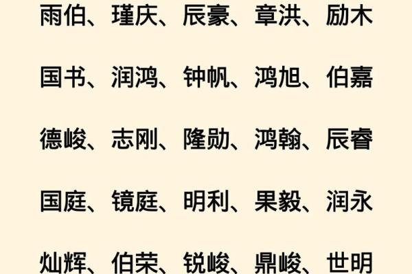 2019年3月23号辛时出生的男孩如何起名姓名