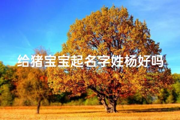 1月份出生的属猪男孩起什么名字好姓名