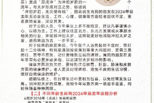 八月份出生的属狗男孩应该如何取名字姓名