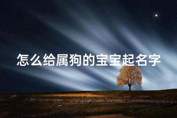 中午1点出生的属狗男孩如何取名，宜用什么字姓名