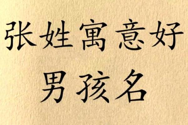 8月份出生的属猴男孩名字取什么好姓名