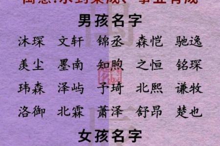 2019年6月17号寅时出生的男孩要怎么起名字姓名