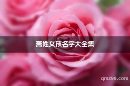 萧姓女孩名字大全-萧姓女孩起名字大全-萧姓名字大全姓名