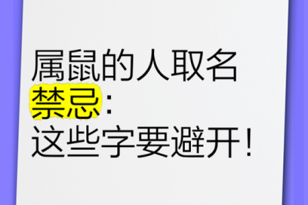 什么字适合给晚上11点出生的属鼠男孩起名姓名
