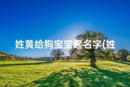 八月份出生的属狗男孩应该如何取名字姓名