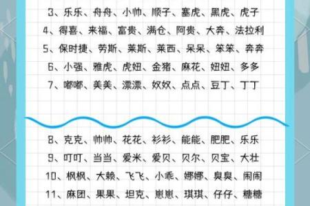 中午1点出生的属狗男孩如何取名，宜用什么字姓名
