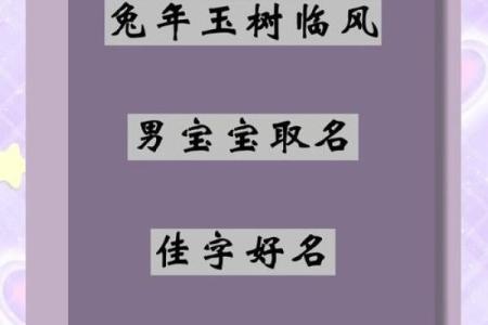 半夜出生属兔的男孩应该怎么样去名字呢姓名