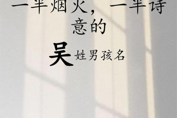 2019年出生的姓吴男孩如何起名，宜用什么字姓名