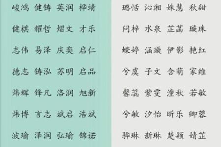 2019年5月8号卯时出生的男孩应该起什么样的名字姓名