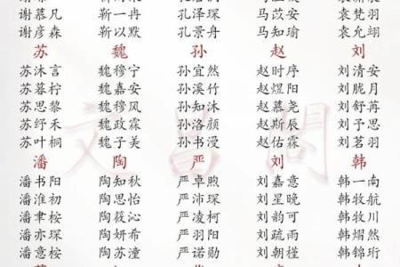 2019年6月21号丑时出生的男孩要怎么起名字姓名
