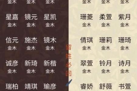 2019年5月17号卯时出生的男孩应该起什么样的名字姓名