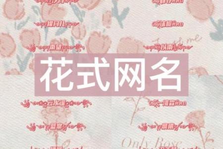 花姓男孩名字大全-花姓男孩起名字大全-花姓名字大全姓名