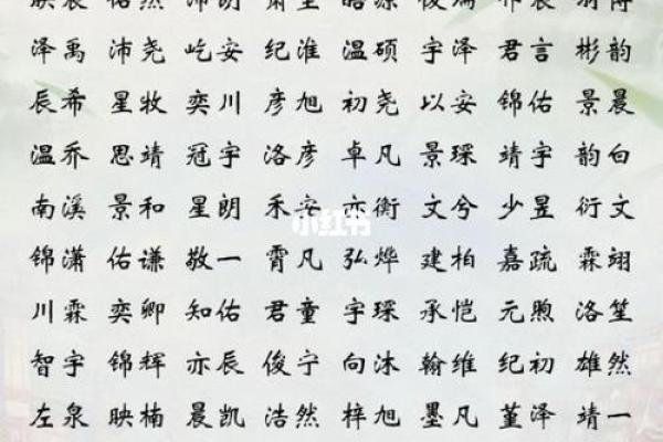 2019年6月28号丑时出生的男孩应该起什么样的名字姓名