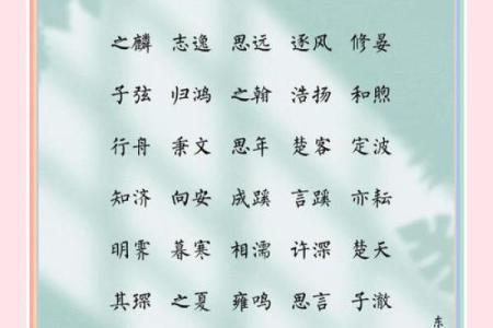 2019年6月28号丑时出生的男孩应该起什么样的名字姓名