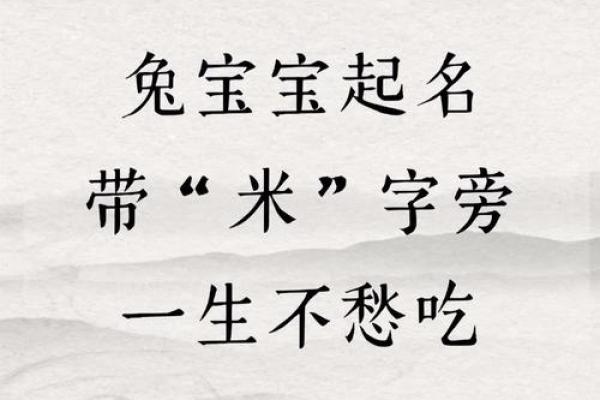 早上出生属兔的男孩应该怎样取名字呢姓名