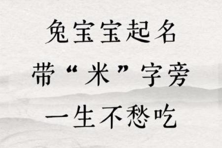 早上出生属兔的男孩应该怎样取名字呢姓名