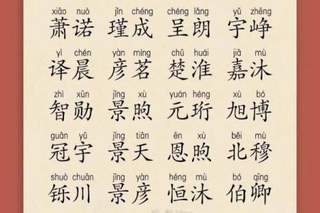 2019年3月18号巳时出生的男孩如何起名姓名