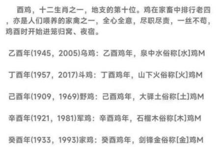 属鸡亥时出生的男孩该如何起名，宜用什么字姓名