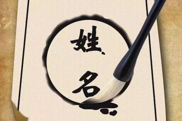 姓毛的名人-姓名学-华易算命网姓名 姓毛的名人-姓名学-华易算命网姓名