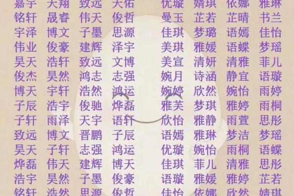 2019年处暑出生的男宝宝叫什么小名好？姓名