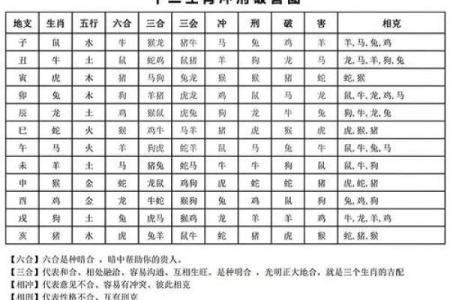 姓名与生肖的关系-姓名学-姓名分析姓名
