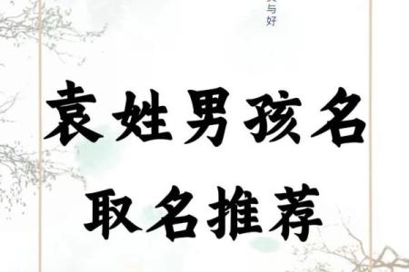 2019年3月10号丑时出生的男孩如何起名姓名