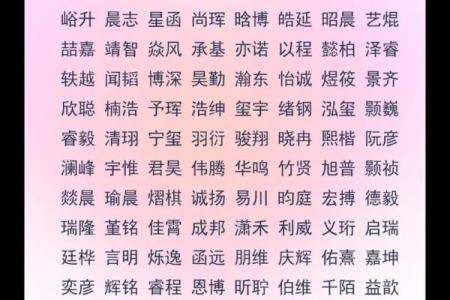 2019年3月14号子时出生的男孩要怎么起名字姓名