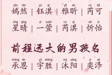 2019年5月20号子时出生的男孩要怎么起名字姓名