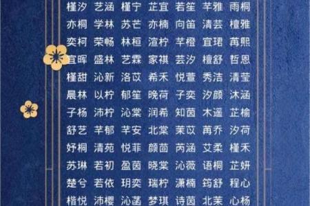 下午4点出生的属羊男孩如何起名,宜用什么字姓名