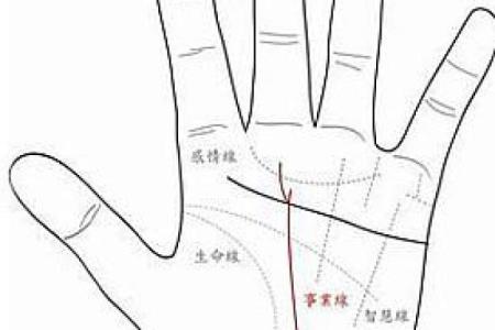 姓符的名人-姓名学-华易算命网姓名