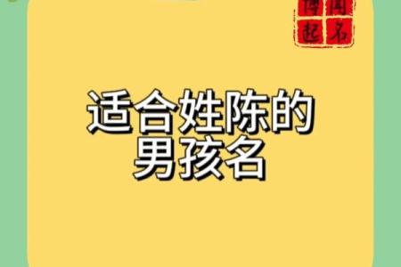 2019年3月25号午时出生的男孩应该起什么样的名字姓名