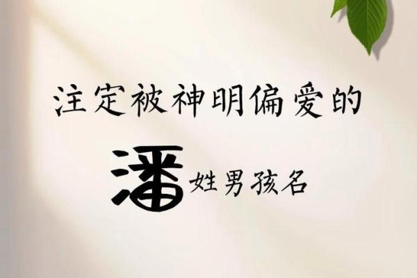 2019年出生的姓潘女孩如何起名,宜用什么字姓名 2019年出生的姓潘女孩如何起名,宜用什么字姓名