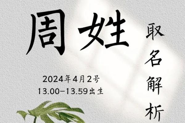 周姓女孩名字大全-周姓女孩起名字大全-周姓名字大全姓名 周姓女孩名字大全-周姓女孩起名字大全-周姓名字大全姓名