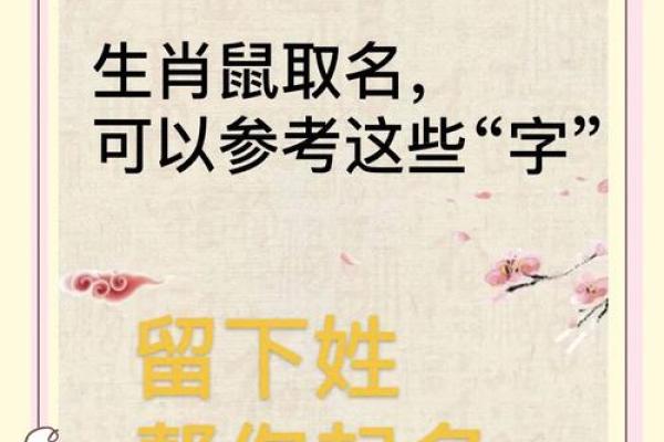 早上9点出生的属鼠男孩要如何起名姓名 早上9点出生的属鼠男孩要如何起名姓名