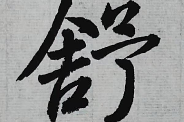 舒姓女孩名字大全-舒姓女孩起名字大全-舒姓名字大全姓名 舒姓女孩名字大全-舒姓女孩起名字大全-舒姓名字大全姓名