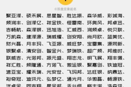 咨询公司名字大全-名字大全姓名