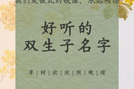 给双胞胎男宝宝的取名的两种方法和有寓意的名字-姓名学-华易网姓名