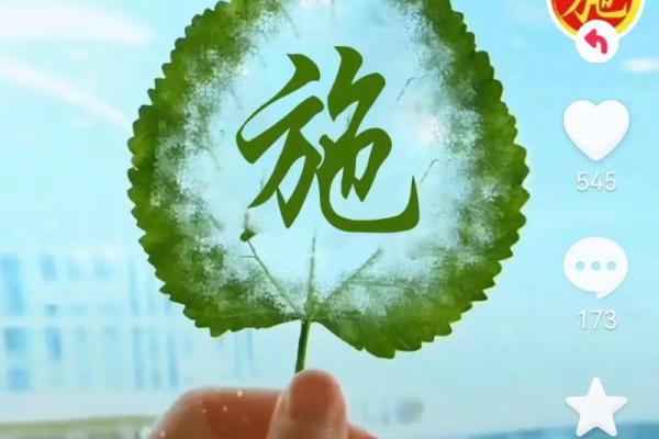 施姓男孩名字大全-施姓男孩起名字大全-施姓名字大全姓名 施姓男孩名字大全-施姓男孩起名字大全-施姓名字大全姓名